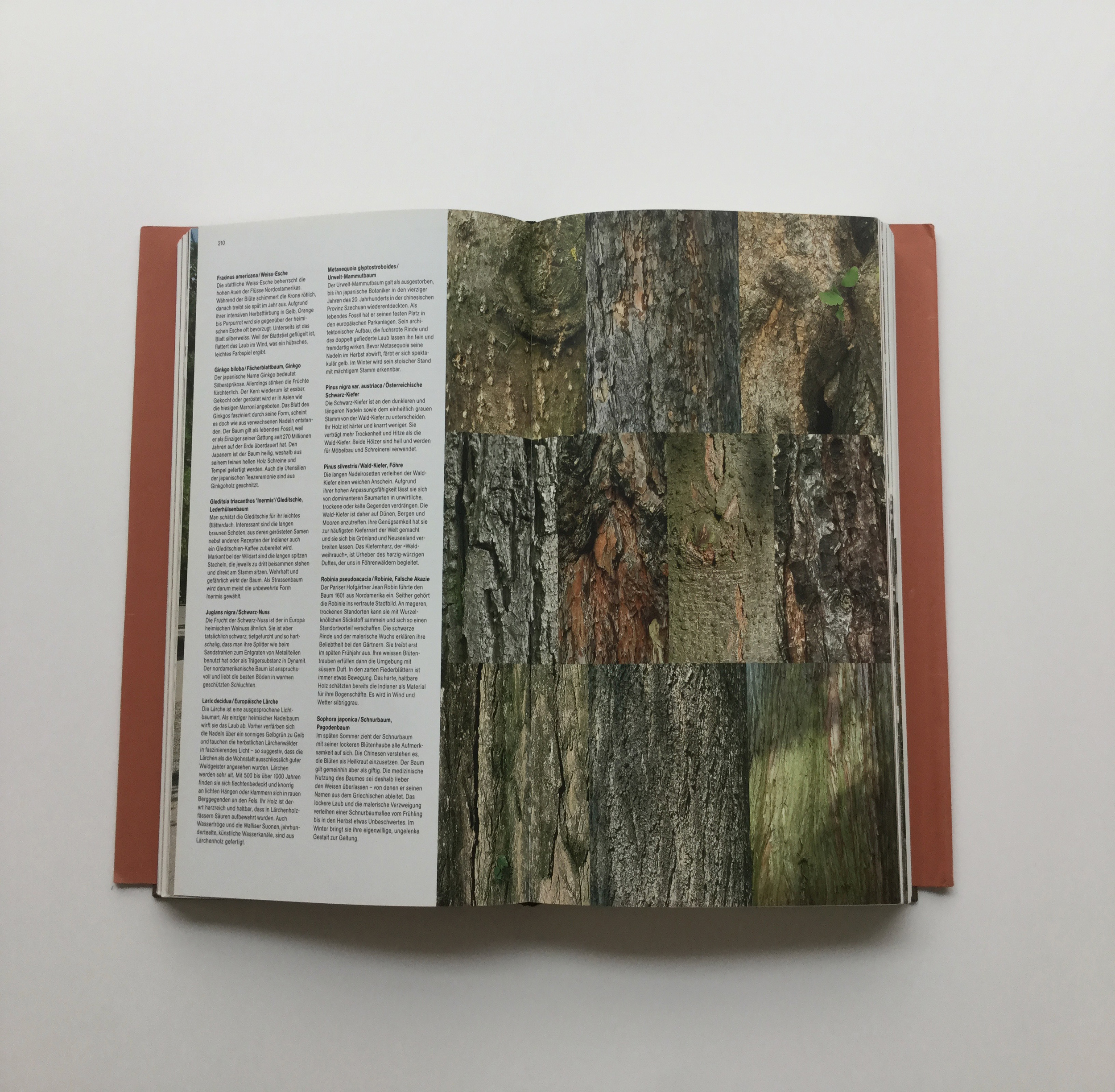 Giesinger Bahnhofsplatz